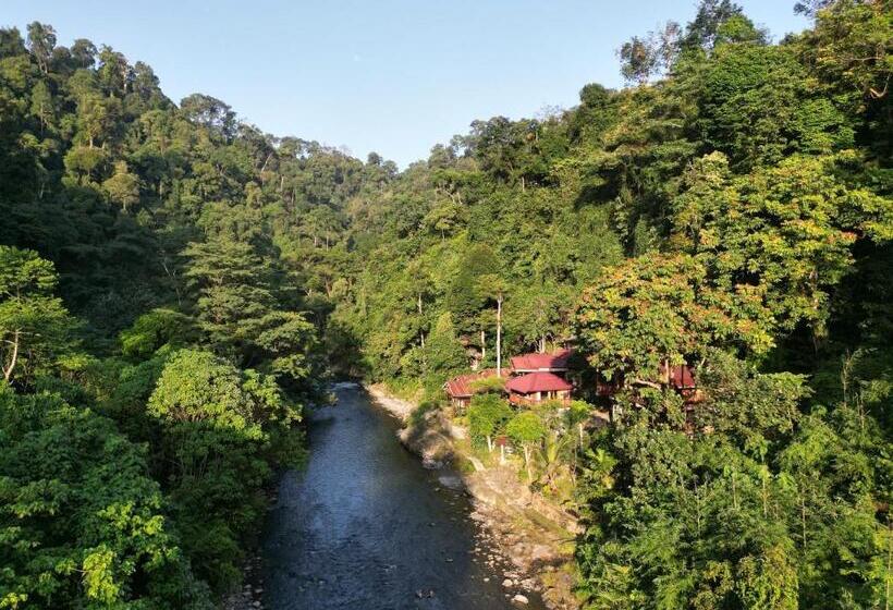 پانسیون Kupu Kupu Garden Guest House & Cafe