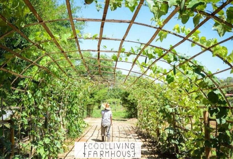 هتل Coolliving Farmhouse Organic