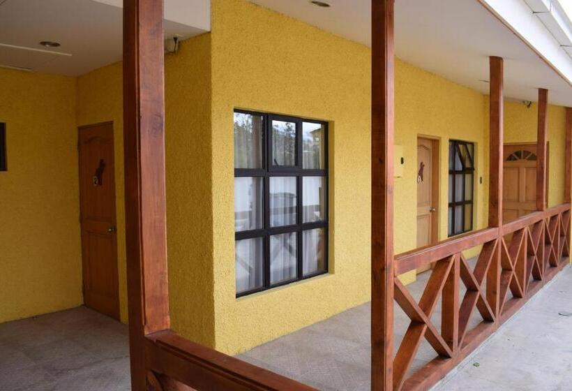 הוסטל Hostal Loreto Belen