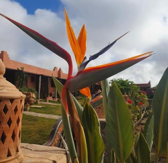 هاستل Le Nid D Aigle