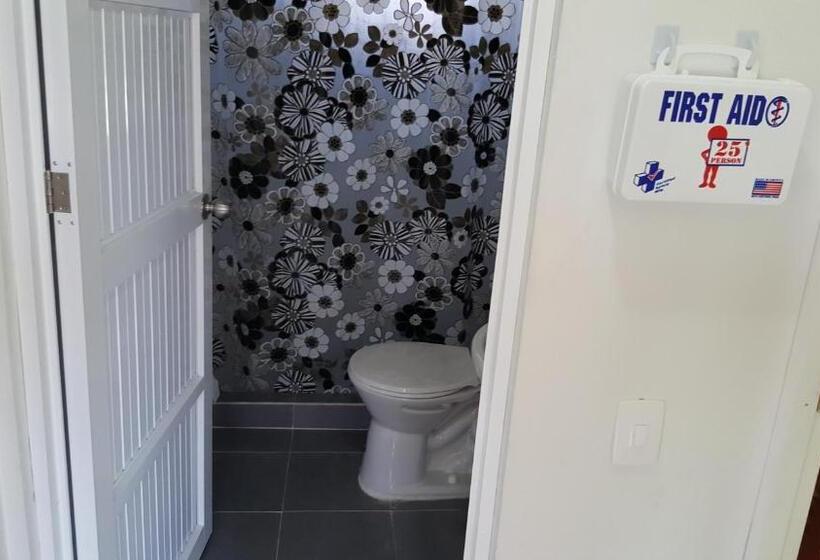 هاستل Roxi S Place