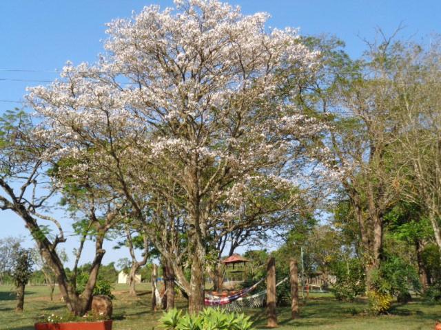 ホテル Pousada Fazenda Buracão
