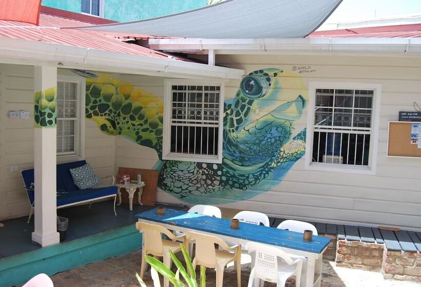 بنسيون Mobay Kotch   Hostel