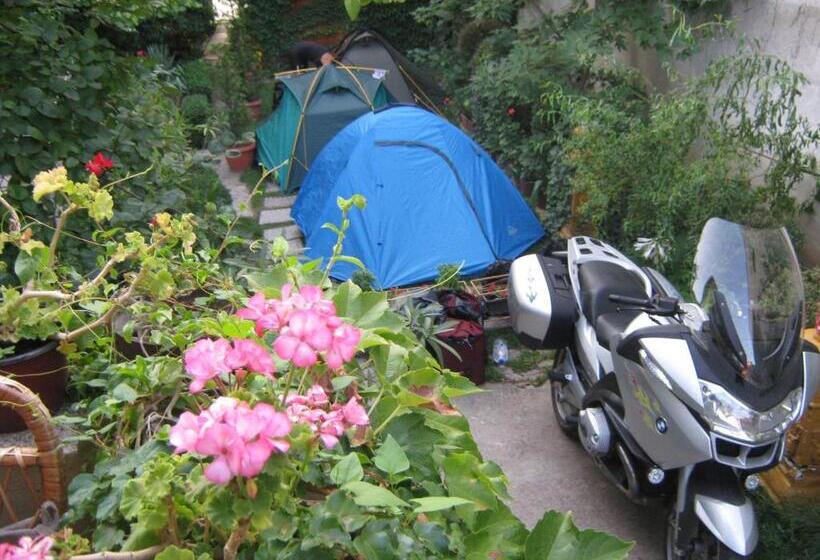 پانسیون Base For Adventurers   Urban Guerrilla