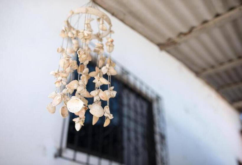 پانسیون La Jungla