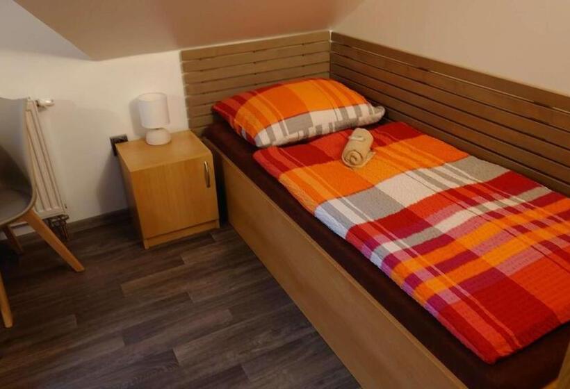 پانسیون Penzion Tcv Pardubice