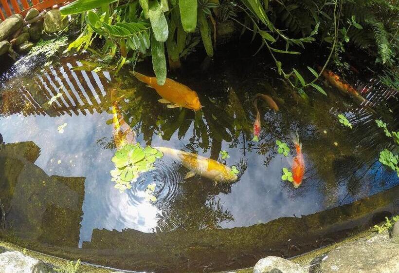 Pensão Pousada Entre Paraísos