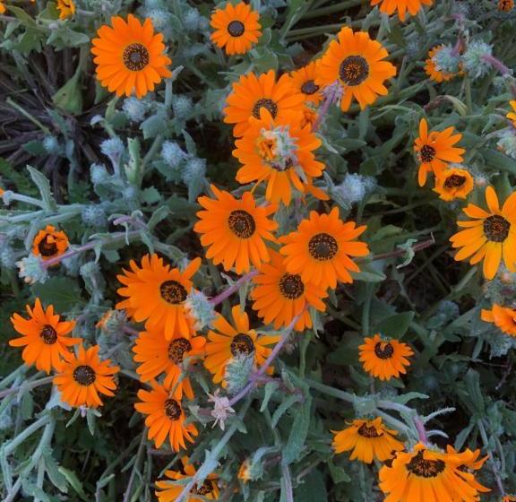 펜션 Lêplek Guest House