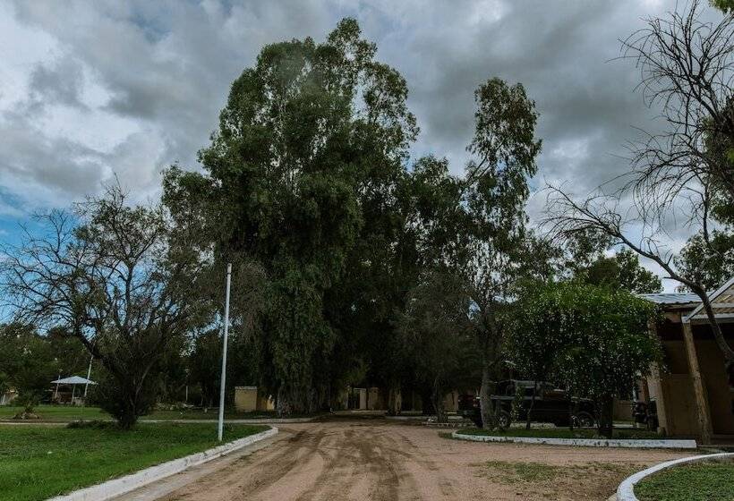 فندق صغير Hostería Y Cabañas Valle Fertil