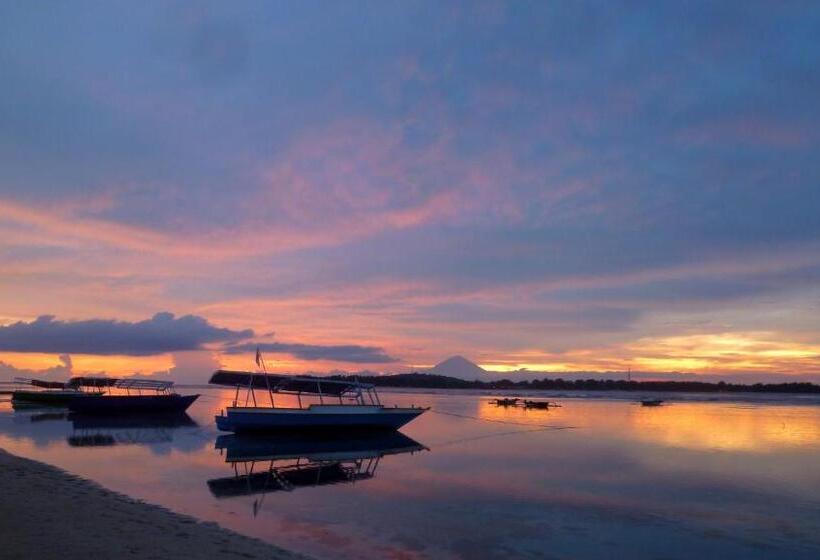 پانسیون Blue Marlin Dive Gili Air
