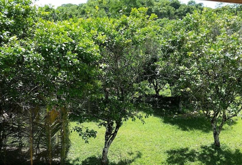 פנסיון Rock Farm Guest House