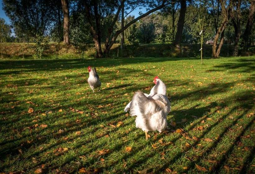 هاستل Logement Aan De Vecht