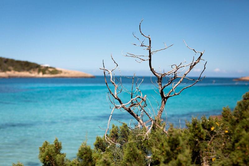 בית מלון כפרי Hostal La Cigüeña