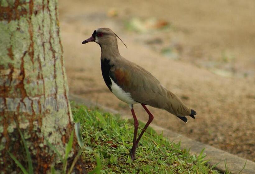 پانسیون Campestre El Triunfo