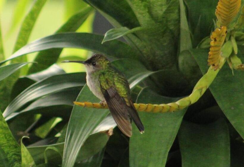 پانسیون Campestre El Triunfo