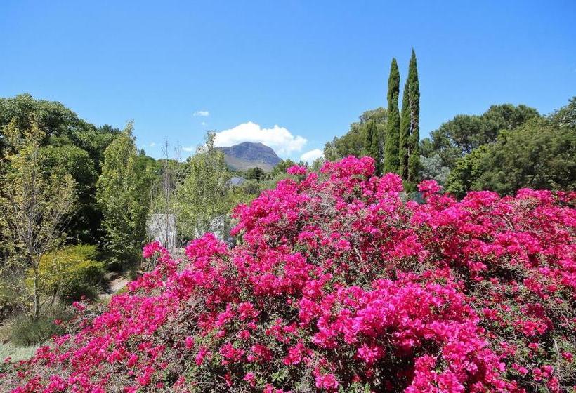 膳宿费 Montrose Guesthouse