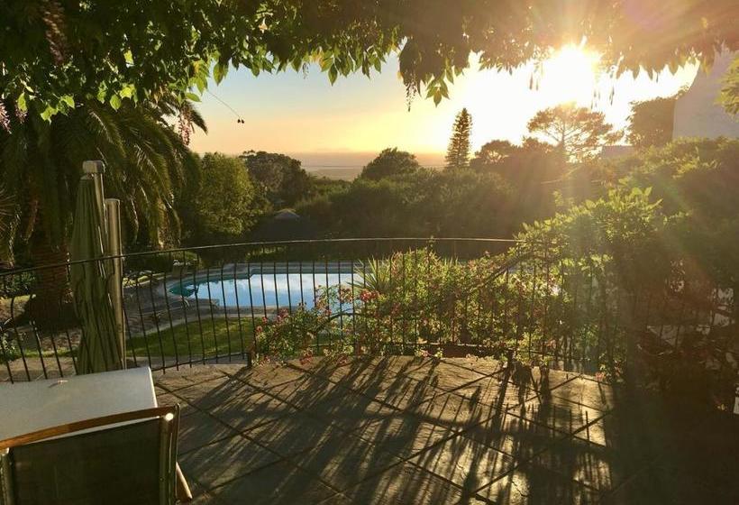 膳宿费 Montrose Guesthouse