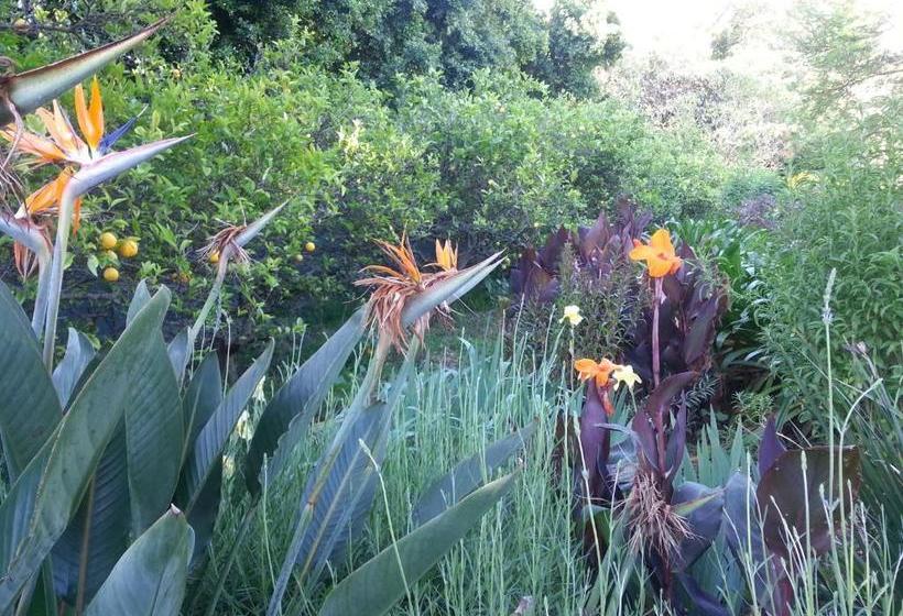 膳宿费 Montrose Guesthouse