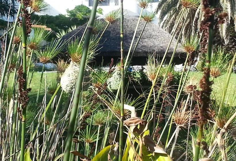 膳宿费 Montrose Guesthouse