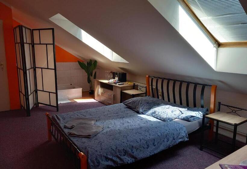 پانسیون Penzion Vulture Ostrava