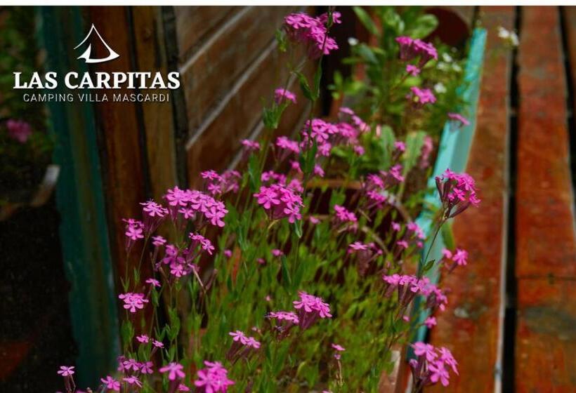 مبيت وإفطار Las Carpitas