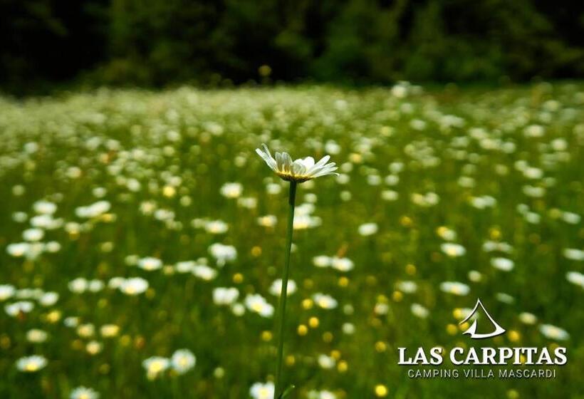 مبيت وإفطار Las Carpitas