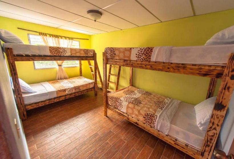 بنسيون Arte Hostal