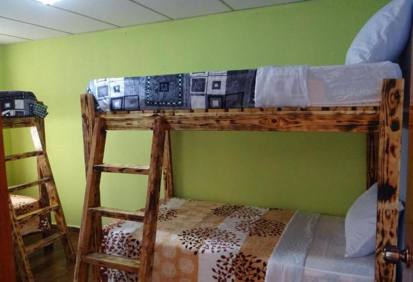 بنسيون Arte Hostal