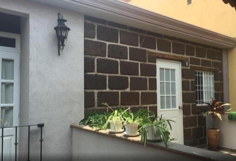 Suites Colibri