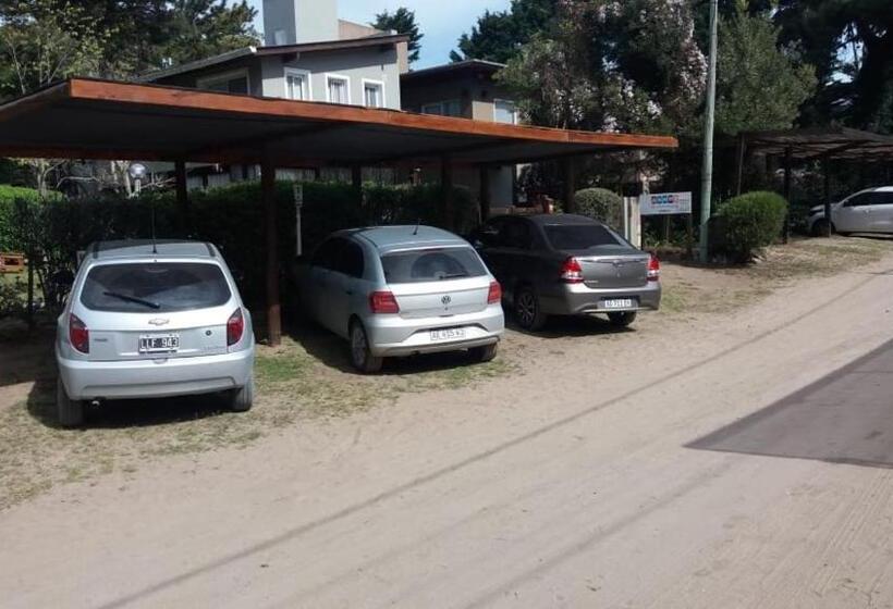 هاستل Dandy Suites