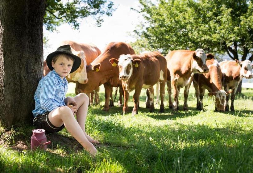 ユースホステル Gasthaus Zur Waldschenke