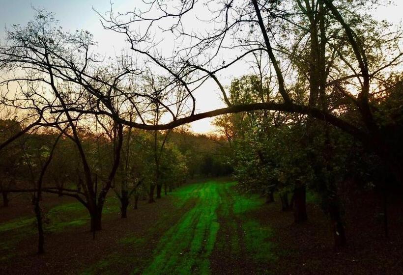 פנסיון Pecan Farm Guesthouse