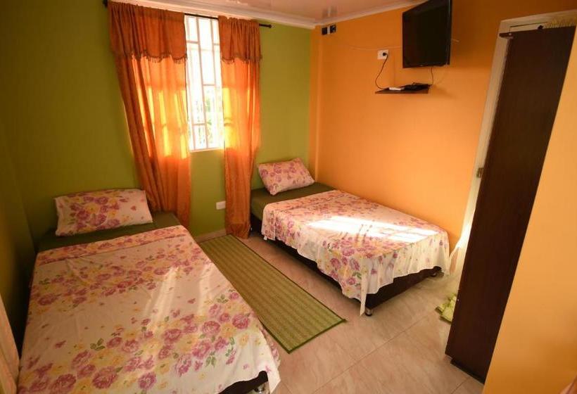 هاستل Marcia`s Place