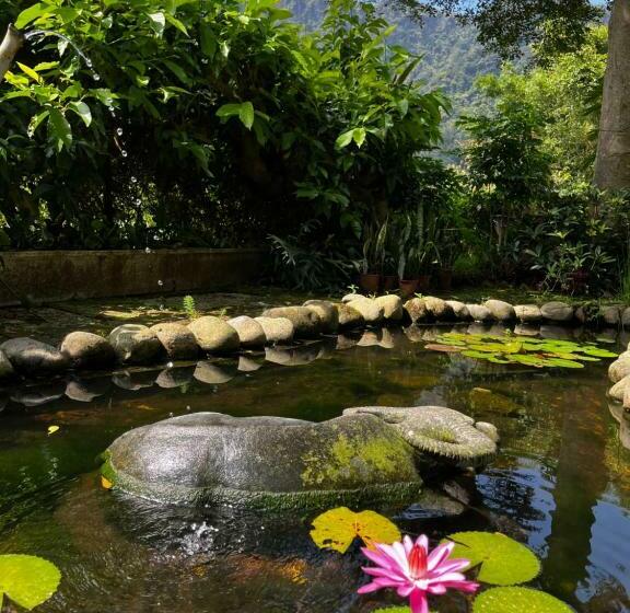 پانسیون Bo Zho Villa