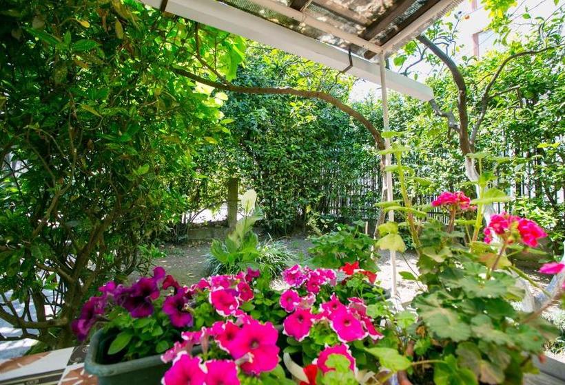 پانسیون Guest House Lavr