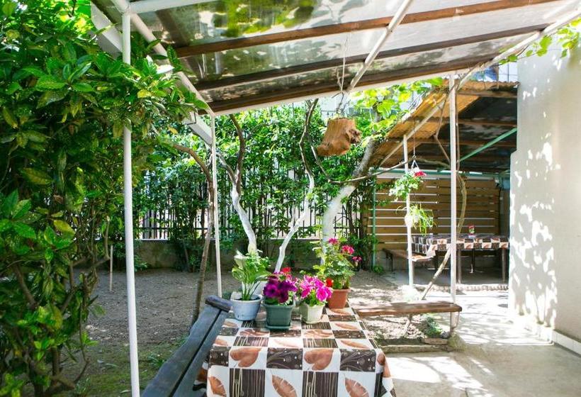 پانسیون Guest House Lavr