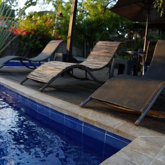 پانسیون Tribe