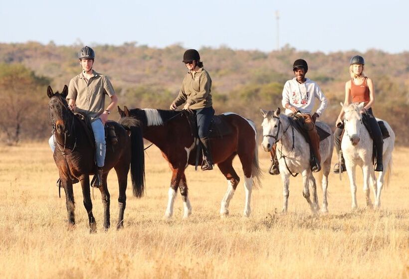 فندق Waterberg Cottages, Private Game Reserve