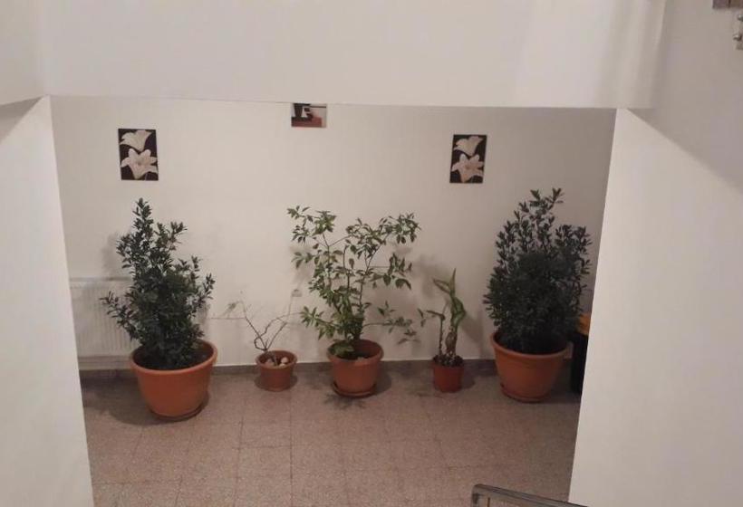 پانسیون Casa Dobrescu Centura De Nord