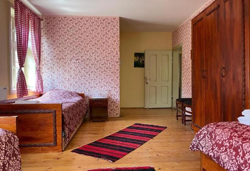 پانسیون Ethno Village Slatkovac