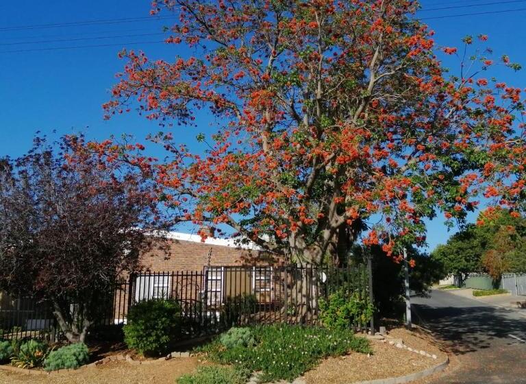 بنسيون Coral Tree Guest Rooms