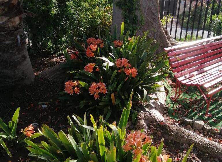 بنسيون Coral Tree Guest Rooms