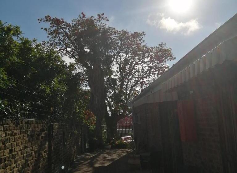 بنسيون Coral Tree Guest Rooms