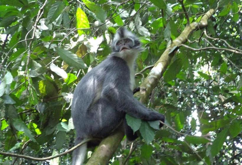 پانسیون Ida Guest House & Jungle Trekking