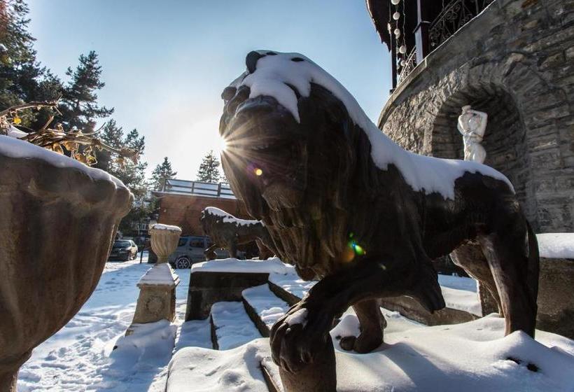 بنسيون Castelul Stirbey