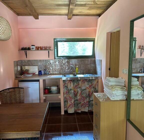 پانسیون Guest House Pikec