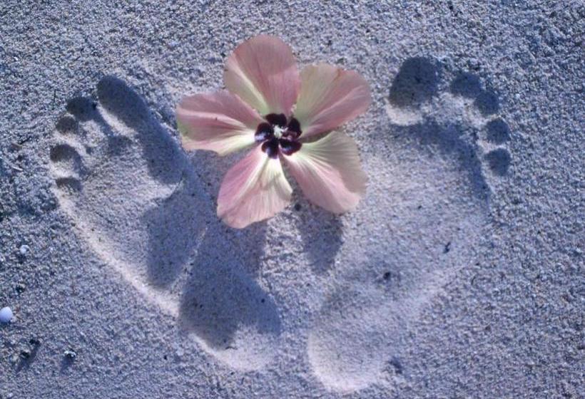 پانسیون Sunset Palms Rarotonga