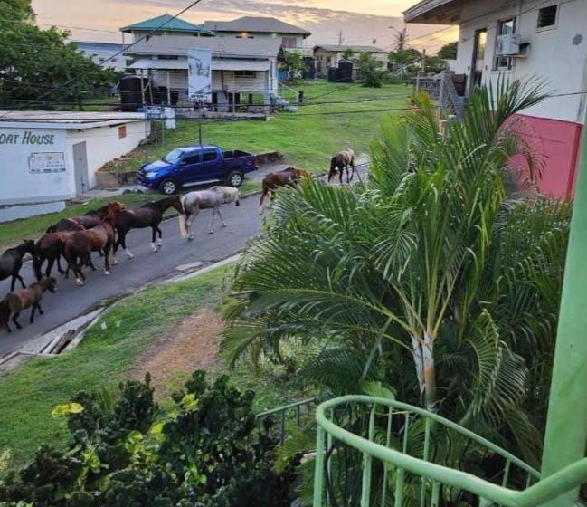 پانسیون The Seaside Garden Guesthouse