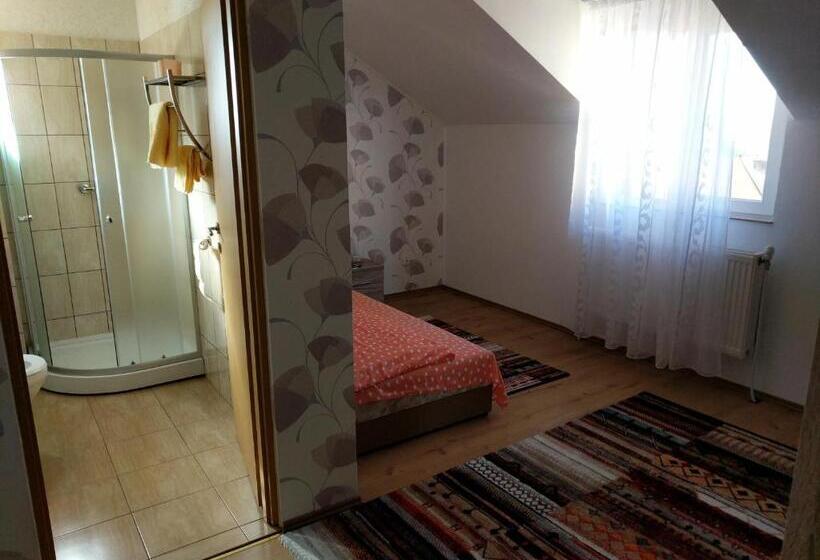 Pensiunea Vladut Timisoara