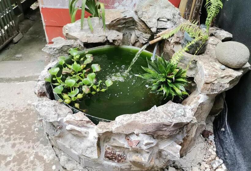 بنسيون Hostel Antorchas